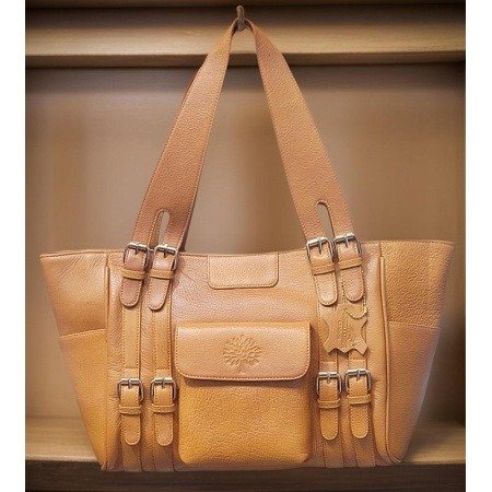 Chelsea Leather Tote/Hand Bag Tan